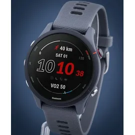 Garmin Forerunner 255 46 mm schiefergrau/schwarz