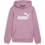 Puma Ess Logo Kapuzenpullover Mauved Out 9-10 Jahre