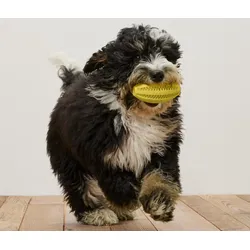 Tchibo - Hunde-Zahnpflege-Ball - gelb