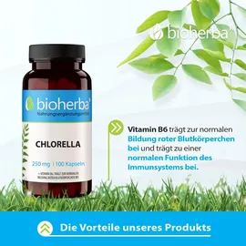 Bioherba Chlorella Kapseln 100 St.