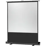 Celexon Ultramobil Plus Professional 120x120 1:1