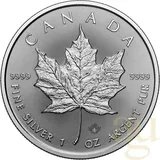 1 Unze Silbermünze Maple Leaf 2025