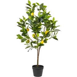 Kunstpflanze LEMON TREE 105 cm