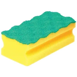 Vileda PROFESSIONAL PUR Active Schwämme, 10 St.