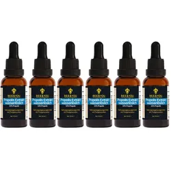 Bee&You Propolis Tropfen , Tinktur 10% wasserlöslich alkoholfrei 6x30 ml