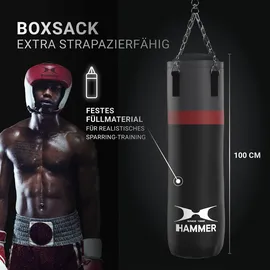 Hammer Boxsack Cobra