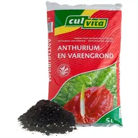 Plants by frank Culvita - Anthurium and Fernerde 5