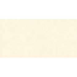 Rako Concept Plus Wandfliese hellbeige 20x40 cm glanz WAAMB007.1