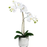 Kunstpflanze Kunstpflanze Orchidee weiß