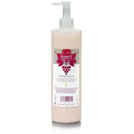 Bruno Vassari Kianty Experience Gesichtsreinigung Lotion 500 ml