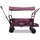 FUXTEC Fuxlife Smarter Bollerwagen FX-CTB800 Purpur