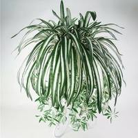 Künstliche Seide Chlorophytum Orchidee Spinne Pflanze Gras Haus / Garten Dekor