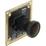 DeLock USB 2.0 Kameramodul mit Wide Dynamic Range 1,92 Megapixel 120° V6 Fixfokus