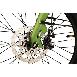 ADORE C-200 2023 20 Zoll RH 42 cm Unisex grün