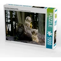 Calvendo Puzzle Zwei kleine Kobolde im Wald. 1000 Teile
