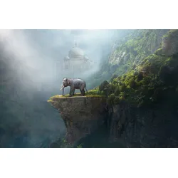 Fototapete PAPERMOON "Indischer Elefant Taj Mahal", bunt, B:4,00m L:2,60m, Vlies, Tapeten
