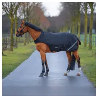 Busse Bewegungsdecke Rain HL 100g