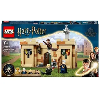 LEGO Harry Potter HogwartsTM: Prima lezione di volo 1 St