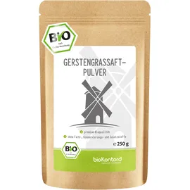 bioKontor Gerstengrassaftpulver 250 g Pulver