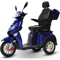 Efun ECO ENGEL 504 Blau, 25 km/h mit 1000