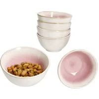 Mambocat 6er Set Reactive Glaze Paris Schale 150ml 6 Pers Pink Schälchen Dessert, Snacks