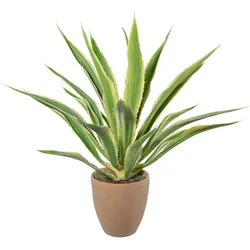 CREATIV green künstliche Pflanze Agave, ca 85cm