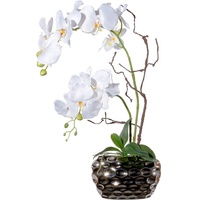 Kunstorchidee Phalaenopsisarrangement in Keramikvase Orchidee Phalaenopsis, Creativ green, Höhe 55 cm weiß