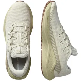 Salomon Drx Defy Grvl Herren Vanilla Ice/Green Haze/White Pepper 46 2/3