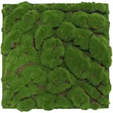 Jangal Akustikpaneel Modular Wall System Design Moos, Hellgrün, Naturmaterialien, 52x52x2.6 cm, Handmade Quality, Montage ohne Bohren, Tapeten & Wandverkleidungen, Akustikpaneele