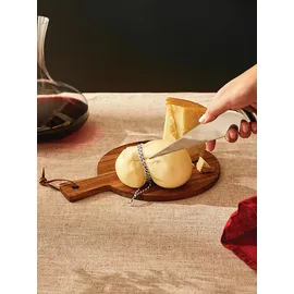 Alessi AD01 Käsemesser Edelstahl strapazierfähig