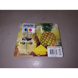 Epson 604 Ananas CMYK