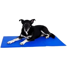 LIONTO Kühlmatte L 100 x 60 cm blau