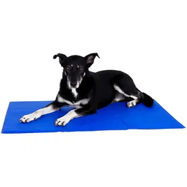 LIONTO Kühlmatte L 100 x 60 cm blau