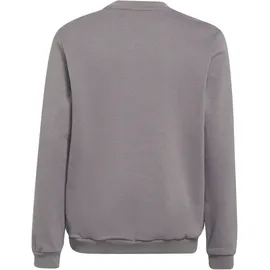 Adidas Entrada 22 Sweatshirt Team Grey Four, 13-14 Years