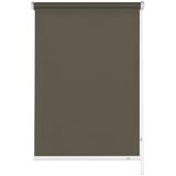 GARDINIA Seitenzugrollo Blackout mocca 82 x 180 cm