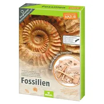 Moses Moses. VERLAG 009832 Expedition Natur Das große Fossilien-Ausgrabungs-Set