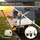 MIWEBA Bollerwagen Canvas mit Dach grau