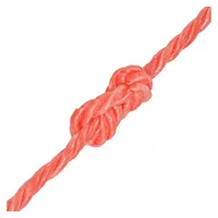 VidaXL Polypropylenseil 10 mm 100 m Orange
