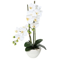 Kunstpflanze Orchidee Phalaenopsis in Keramikschale, weiß, ca. 50 cm