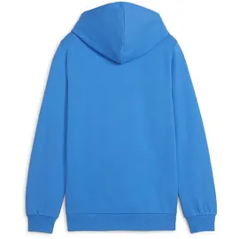 Puma teamGOAL Casuals Hoodie Jungen 02 ignite blue/white 128