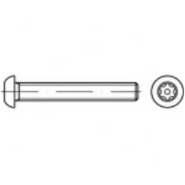 TOOLCRAFT Sicherheitsschrauben M5 40 mm 100 Stück