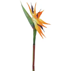 Europalms Paradiesvogel-Blume, orange, 95cm