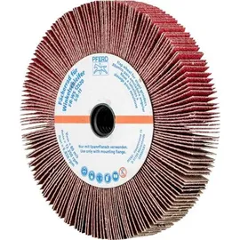 pferd tools 44782808 Fächerrad Durchmesser 125 mm 2 St.
