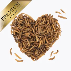 Lyra Pet Soldatenfliegenlarven 1 kg