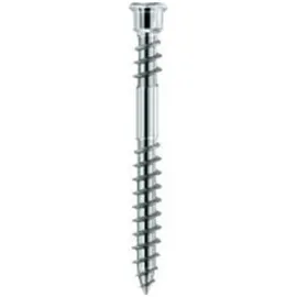 Eurotec Schraube Terrassotec geh. DIN10088 5,5x 50mm T25