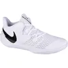 Nike Zoom Hyperspeed Court. Herren. Volleyball. Volleyballschuhe. weiß bunt 42.5