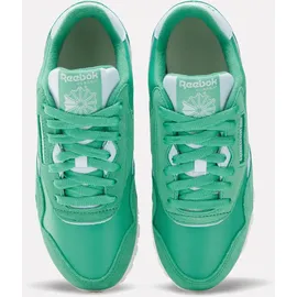 Reebok Classic Nylon Upgrade Green/Upgrade Green/Glass Blue 40