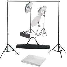 vidaXL Halle Studioleuchte Dauerlicht, Weiss, Silber