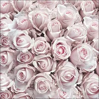 20 Servietten Blume Pastell 33 x 33 cm