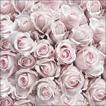 20 Servietten Blume Pastell 33 x 33 cm